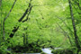 客户介绍